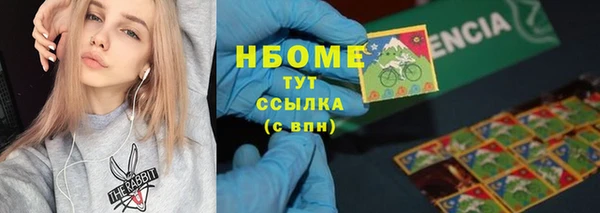 шишки Алексин