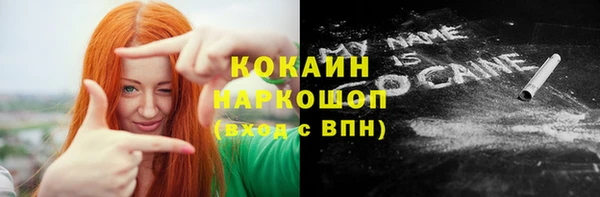 шишки Алексин