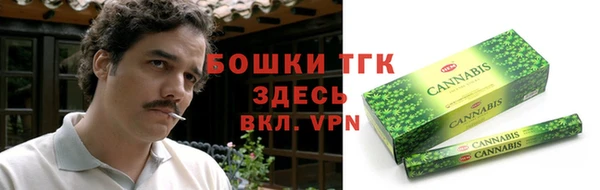 шишки Алексин