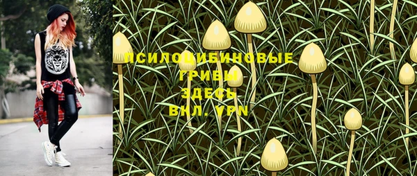 шишки Алексин