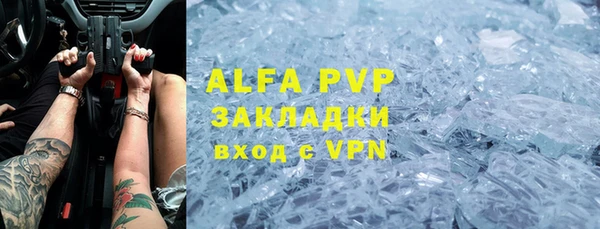шишки Алексин