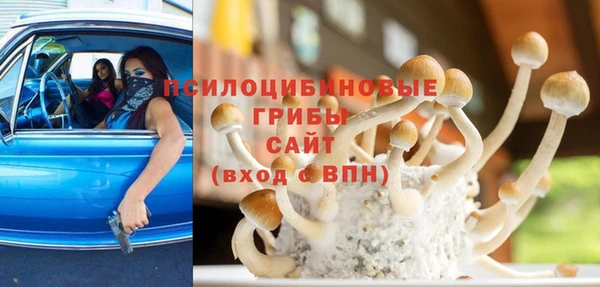 гидропоника Алексеевка